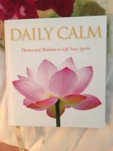 Daily Calm hallmark